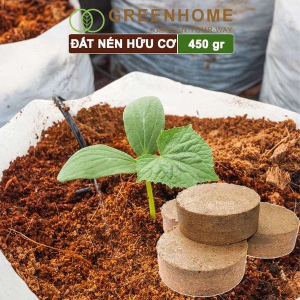 Đất nén hữu cơ