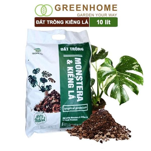 Đất trồng Monstera, kiểng lá, bao 10 lít (3kg), giá thể trộn sẵn, đầy đủ chất Tropical Premium |Greenhome