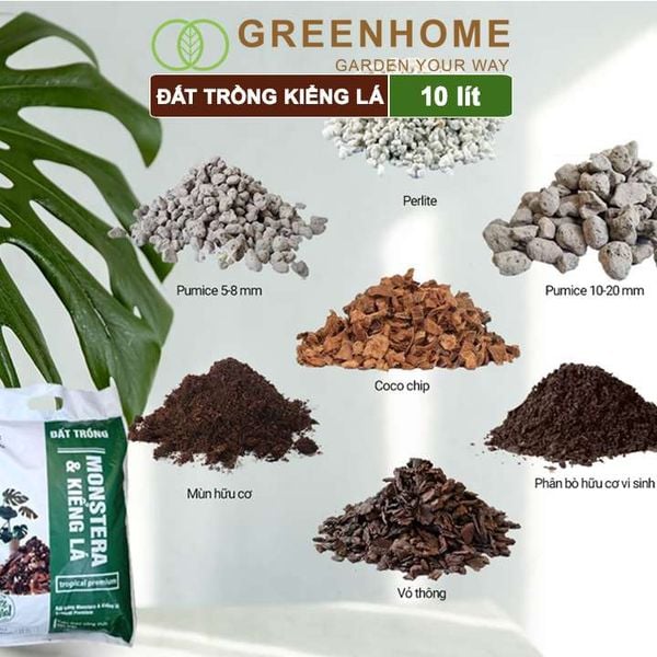 Đất trồng Monstera, kiểng lá, bao 10 lít (3kg), giá thể trộn sẵn, đầy đủ chất Tropical Premium |Greenhome