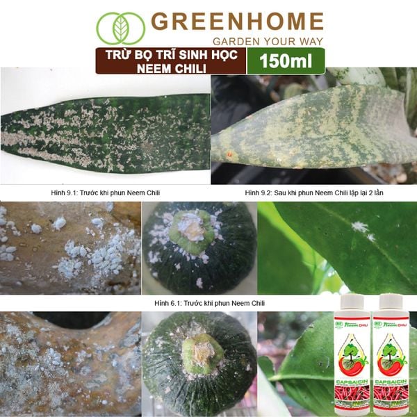 Dầu Neem Oil Sinh Học Neem Chill, 150ml, Kết Hợp Tinh Dầu Tỏi, Ớt, Trừ Bọ Trĩ, Nhện Đỏ, Rầy, Rệp Sáp Cho Cây Cảnh, Rau, Hoa Hồng