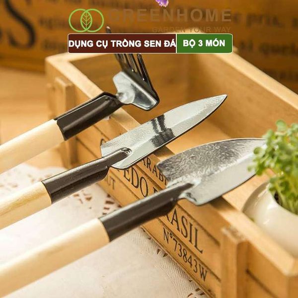 Dụng cụ làm vườn mini, 3 món, tiện lợi, chuyên dụng trồng sen đá, cán gỗ |Greenhome