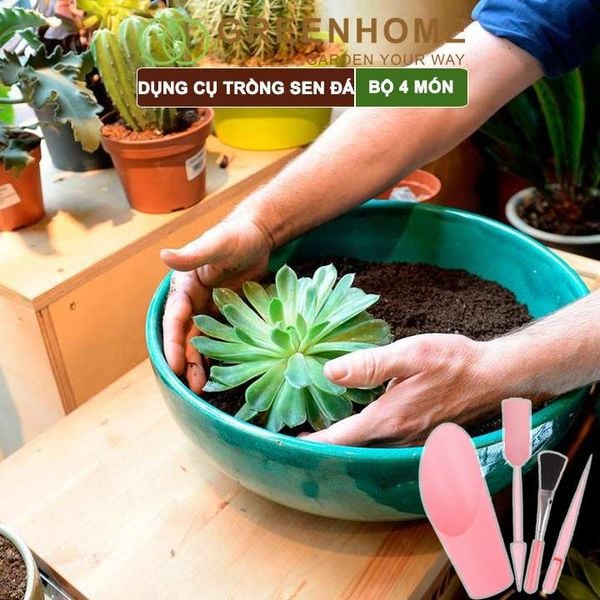 Dụng cụ làm vườn mini, 4 món, chuyên dụng cụ trồng sen đá, xương rồng, tiểu cảnh mini |Greenhome