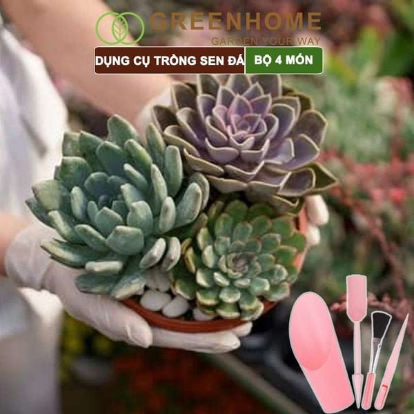 Dụng cụ làm vườn mini, 4 món, chuyên dụng cụ trồng sen đá, xương rồng, tiểu cảnh mini |Greenhome