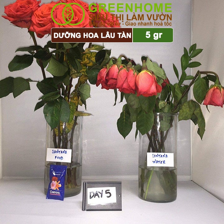 Dưỡng Hoa Lâu Tàn Chrysal, Phân Bón Cho Hoa Cắt Cành, Gói 5gr, Lâu Tàn, Nở Bông To, Không Bị Hôi Nước