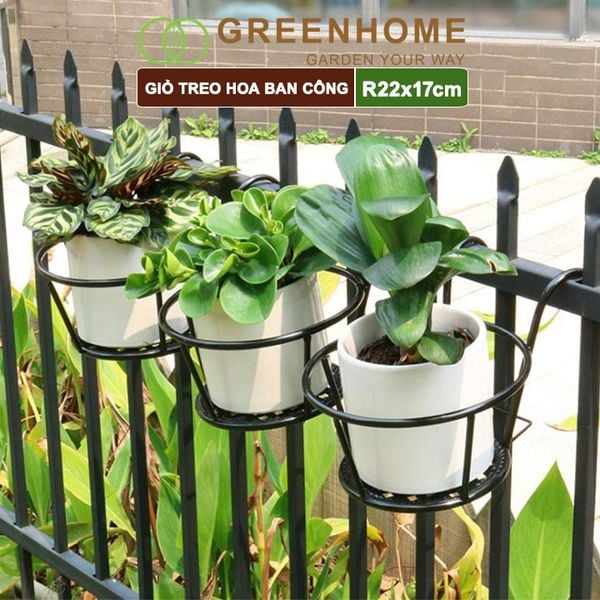 Giỏ treo hoa ban công, D22xC18cm, chất liệu sắt sơn tĩnh điện, phù hợp với mọi lan can, nhiều màu để lựa chọn |Greenhome
