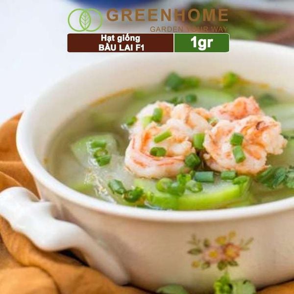 Hạt giống Bầu