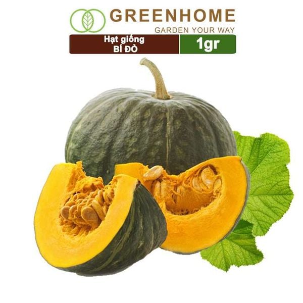 Hạt giống Bí đỏ Greenhome, gói 1gr, trái sai, thịt nhiều, trồng quanh năm T03