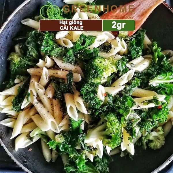 Hạt giống Cải xoăn Kale, 2gr, dễ trồng, giàu dinh dưỡng R16