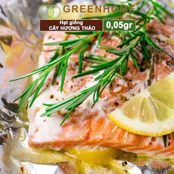 Hạt giống Cây hương thảo, rosemary, gói 0,05gr, dễ trồng, thu hoạch quanh năm G06