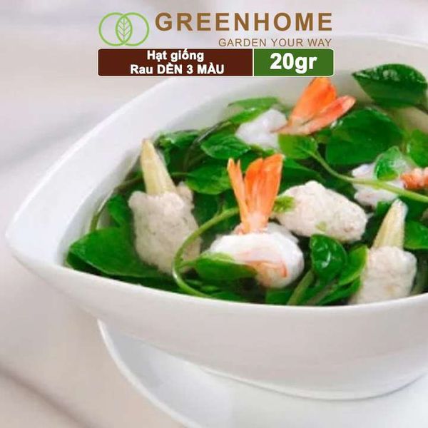 Hạt giống Rau Dền