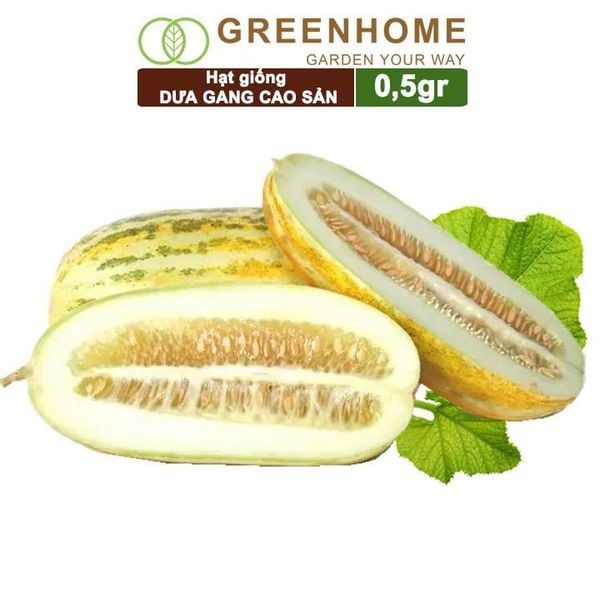 Hạt giống Dưa gang Greenhome, gói 0,5gr, trái dài, thơm, ngon, trồng quanh năm T04