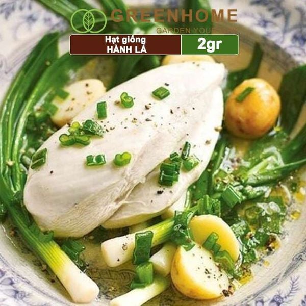 Hạt giống Hành lá, hành hương cao sản, gói 2gr, sinh trưởng mạnh, năng suất cao G01 |Greenhome