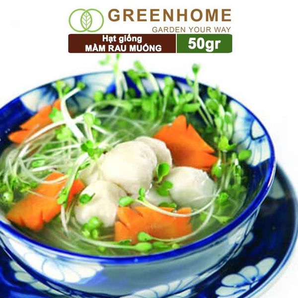 Hạt giống Mầm rau muống