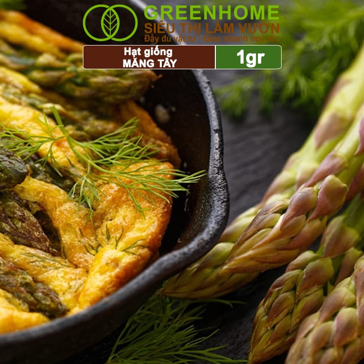 Hạt Giống Măng Tây Xanh Greenhome, Gói 1gr, Dễ Trồng Quanh Năm, Nảy Mầm Cao, Thu Hoạch Nhanh, Năng Suất Cao T19