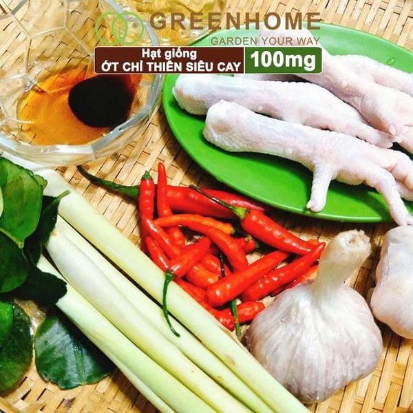 Hạt giống Ớt chỉ thiên
