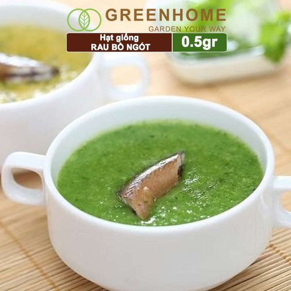 Hạt Giống Rau Bồ Ngót, Gói 1gr, Dễ Trồng, Dinh Dưỡng, Năng Suất Cao R18