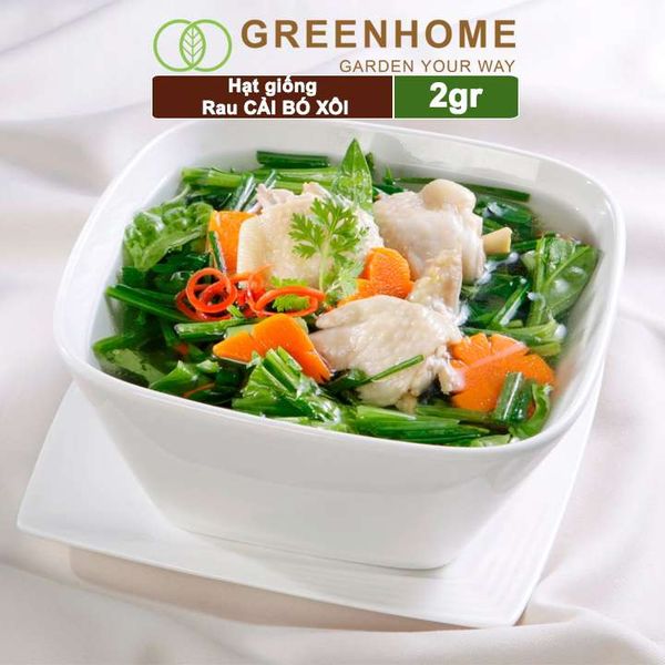 Hạt giống rau Cải bó xôi