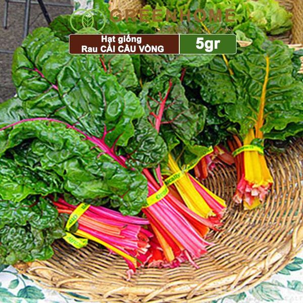 Hạt giống rau Cải cầu vồng