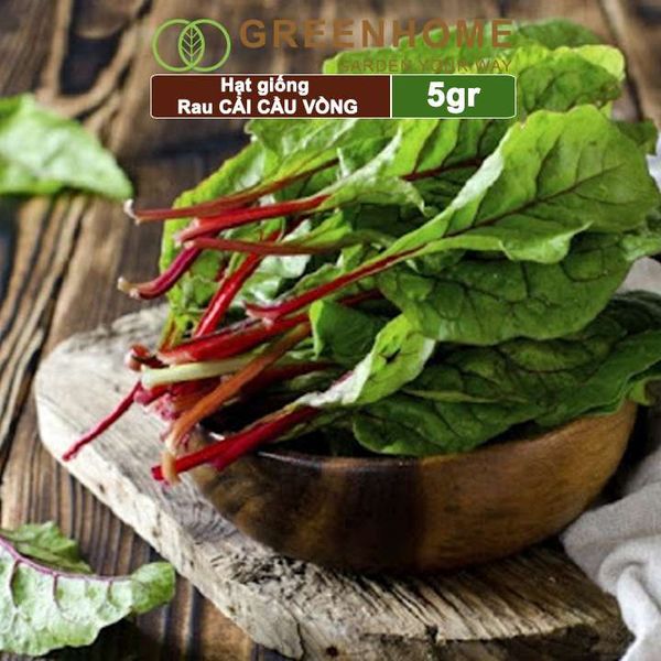 Hạt giống rau Cải cầu vồng