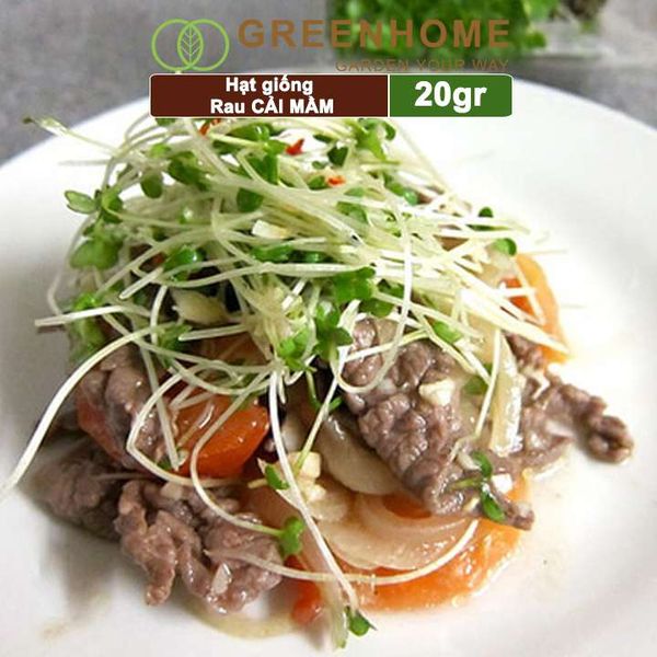 Hạt giống rau Cải mầm