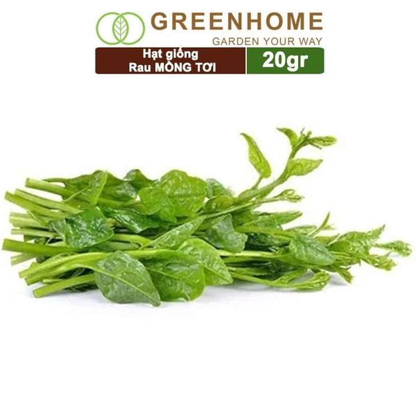 Hạt giống rau Mồng tơi