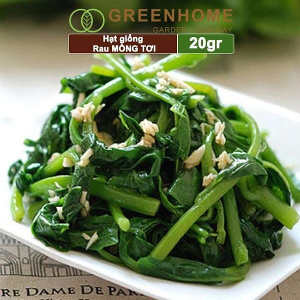 Hạt giống rau Mồng tơi, gói 20g, dễ trồng, thu hoạch nhanh R11 |Greenhome