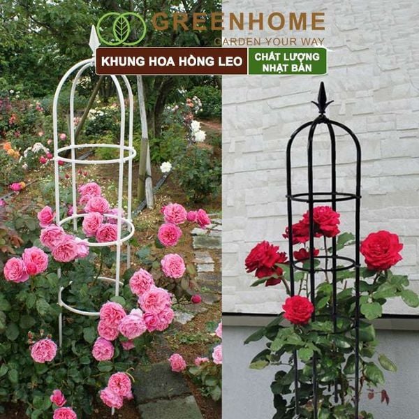 Khung hoa hồng leo, Nhật Bản, Daim, C160xR30cm, hình lồng chim, dễ lắp ráp, độ bền 5 năm ngoài trời |Greenhome
