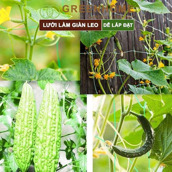 Lưới làm giàn cây leo, độ bền cao, dễ lắp đặt, không viền, làm giàn bầu, mướp, bầu, bí, hoa, nhiều kích thước |Greenhome