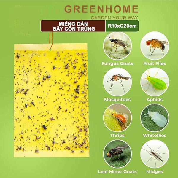 Miếng dán bẫy côn trùng, R10xC20cm, 2 mặt, siêu dính, hiệu quả, tiết kiệm chi phí, thân thiện môi trường |Greenhome