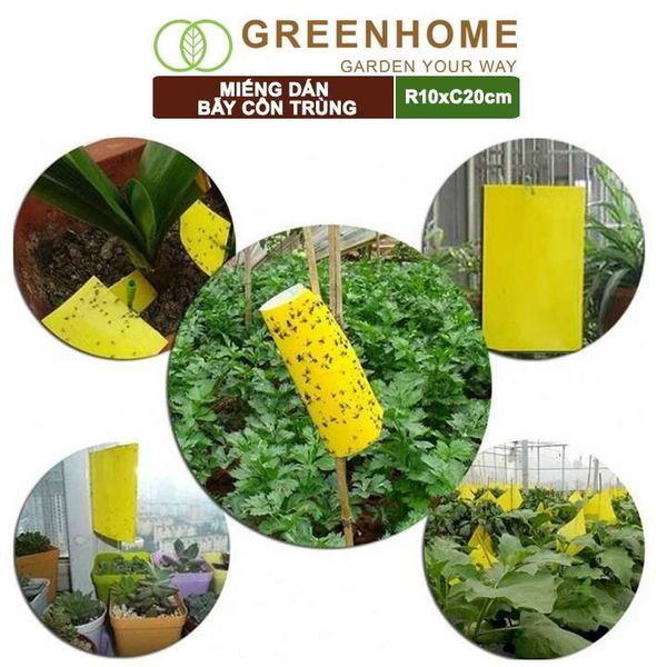 Miếng dán bẫy côn trùng, R10xC20cm, 2 mặt, siêu dính, hiệu quả, tiết kiệm chi phí, thân thiện môi trường |Greenhome