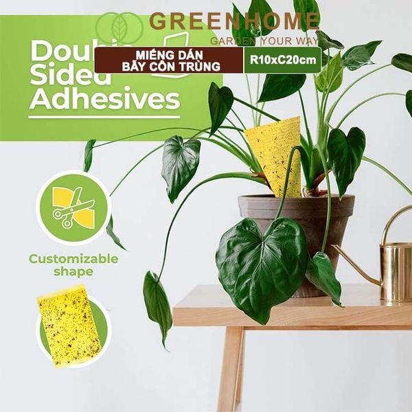 Miếng dán bẫy côn trùng, R10xC20cm, 2 mặt, siêu dính, hiệu quả, tiết kiệm chi phí, thân thiện môi trường |Greenhome