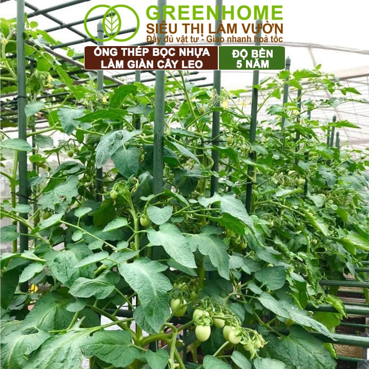 Ống Thép Bọc Nhựa, Greenhome, Daim, Nhật Bản, D90cm, Làm Khung Hoa Hồng, Giàn Leo Bầu, Bí, Mướp, Độ Bền 5 Năm