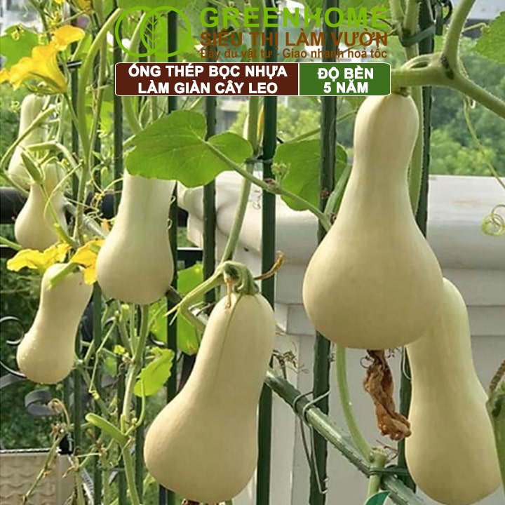 Ống Thép Bọc Nhựa, Greenhome, Daim, Nhật Bản, D90cm, Làm Khung Hoa Hồng, Giàn Leo Bầu, Bí, Mướp, Độ Bền 5 Năm