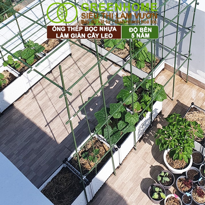 Ống Thép Bọc Nhựa, Greenhome, Daim, Nhật Bản, D90cm, Làm Khung Hoa Hồng, Giàn Leo Bầu, Bí, Mướp, Độ Bền 5 Năm
