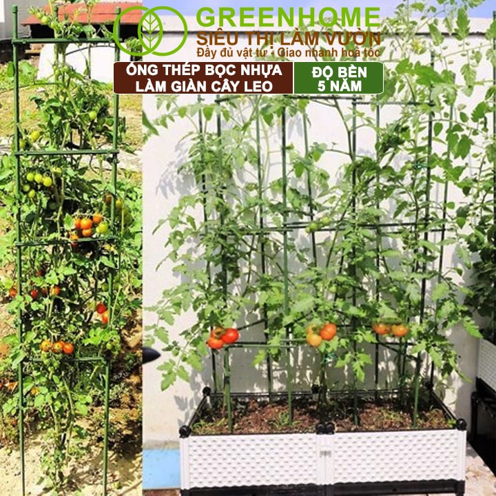 Ống Thép Bọc Nhựa, Greenhome, Daim, Nhật Bản, D90cm, Làm Khung Hoa Hồng, Giàn Leo Bầu, Bí, Mướp, Độ Bền 5 Năm
