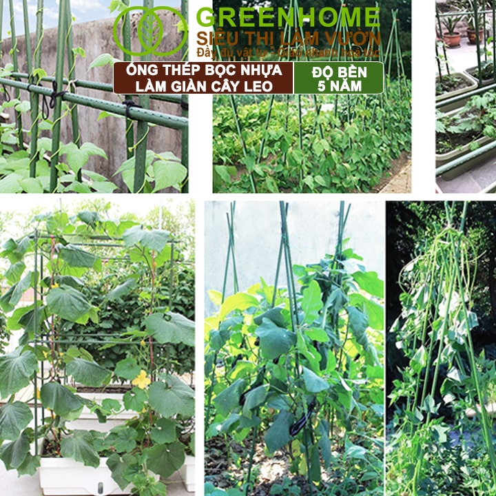 Ống Thép Bọc Nhựa, Greenhome, Daim, Nhật Bản, D90cm, Làm Khung Hoa Hồng, Giàn Leo Bầu, Bí, Mướp, Độ Bền 5 Năm