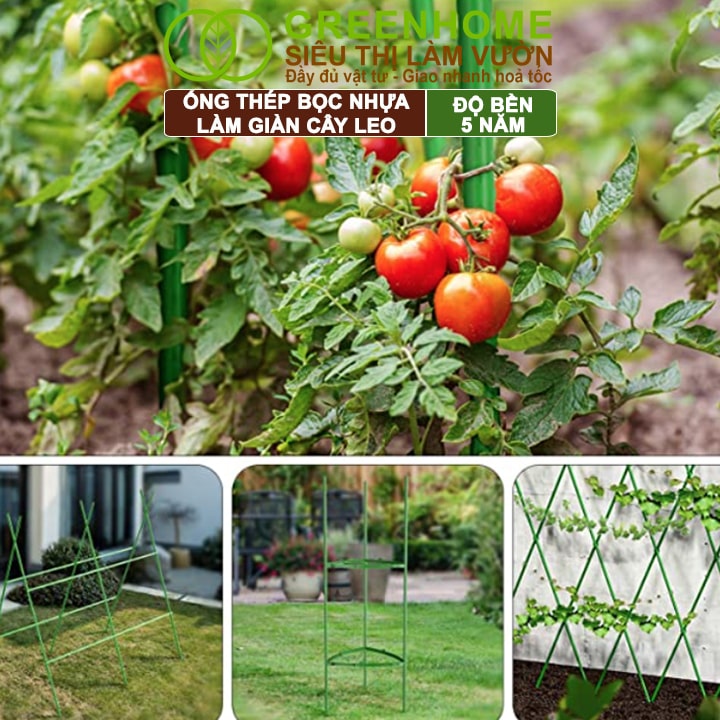 Ống Thép Bọc Nhựa, Greenhome, Daim, Nhật Bản, D90cm, Làm Khung Hoa Hồng, Giàn Leo Bầu, Bí, Mướp, Độ Bền 5 Năm