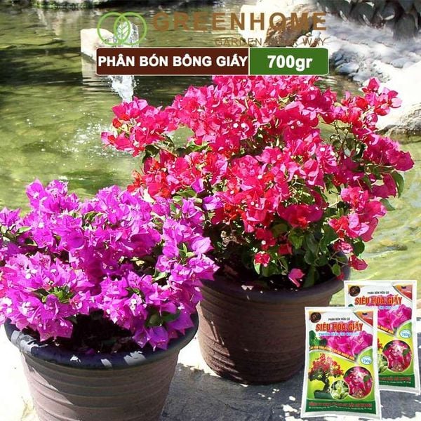 Phân bón hoa Giấy, bao 700gr, hữu cơ, giúp thân cứng cáp, ra bông nhiều, lâu tàn | Greenhome