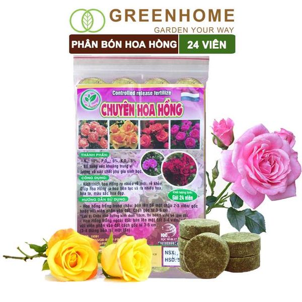 Phân bón chuyên hoa hồng, gói 24 viên, kích rễ, ra nhiều hoa, màu sắc đẹp