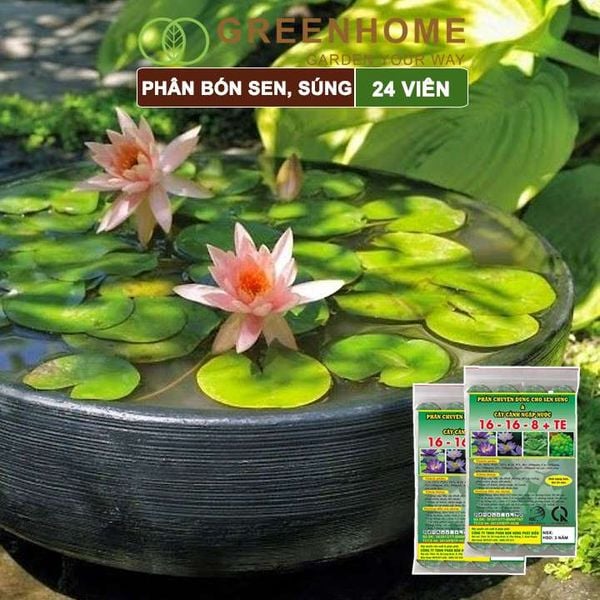 Phân bón hoa Sen, vỉ 24 viên, cây thuỷ sinh, ngập nước, cho hoa to, hoa đậm màu, lâu tàn, tốt lá |Greenhome