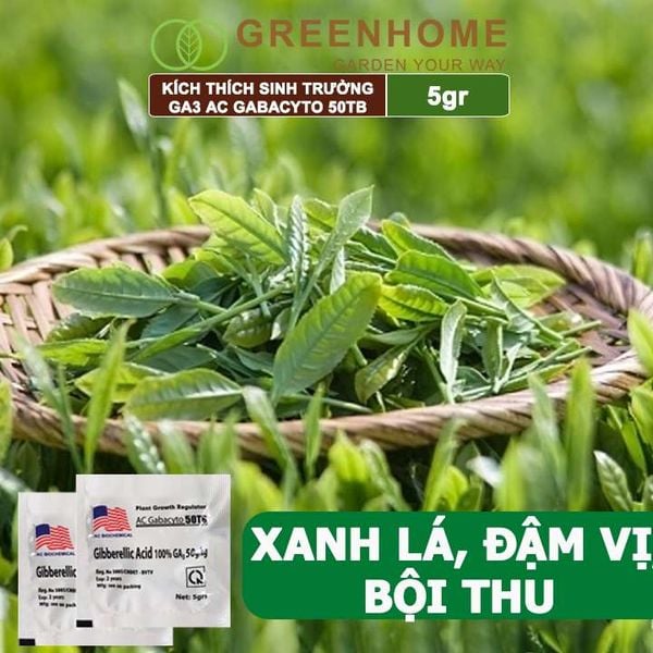 Phân bó lá cao cấp GA3, Gibber 50TB, viên 5gr, dạng sủi, kích thích ra đọt, bông lớn, trái to