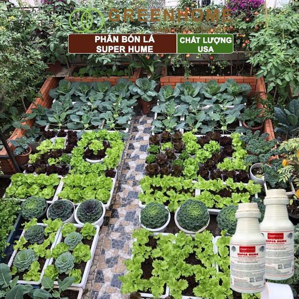 Phân bón lá Super Hume, Crop Master, chai 250ml, cải tạo đất, kích thích rễ, đâm chồi, đẻ nhánh khoẻ| Greenhome