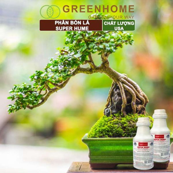 Phân bón lá Super Hume, Crop Master, chai 250ml, cải tạo đất, kích thích rễ, đâm chồi, đẻ nhánh khoẻ| Greenhome