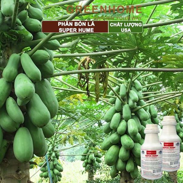 Phân bón lá Super Hume, Crop Master, chai 250ml, cải tạo đất, kích thích rễ, đâm chồi, đẻ nhánh khoẻ| Greenhome