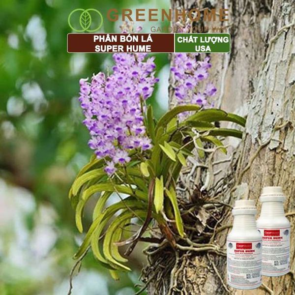 Phân bón lá Super Hume, Crop Master, chai 250ml, cải tạo đất, kích thích rễ, đâm chồi, đẻ nhánh khoẻ| Greenhome
