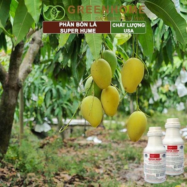Phân bón lá Super Hume, Crop Master, chai 250ml, cải tạo đất, kích thích rễ, đâm chồi, đẻ nhánh khoẻ| Greenhome