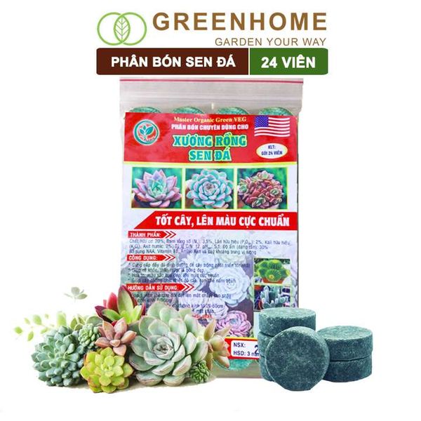 Phân bón sen đá, gói 24 viên, dùng cho xương rồng, cây mọng nước, kích rễ, lên màu chuẩn