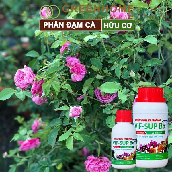 Phân đạm cá