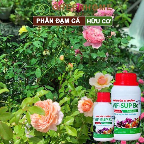 Phân đạm cá