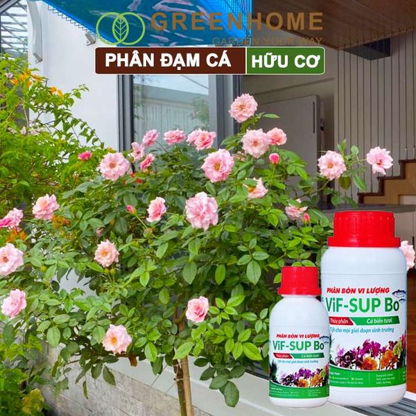 Phân đạm cá